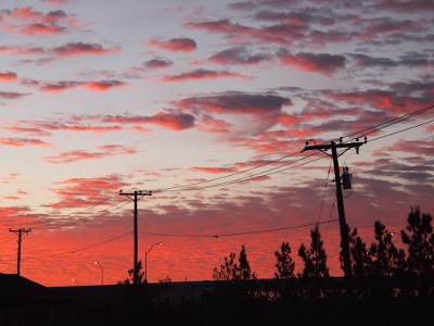 [Power lines and poles and trees are dark stripes in the sea of pink behind them. Above them is a mixture of lue and pink-purple clouds.]